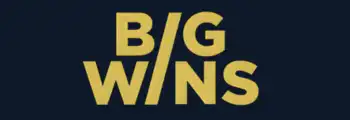 bigwins casino　ビッグウィンカジノ　ロゴ