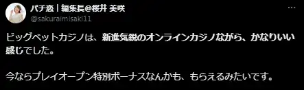 ビッグベット　口コミ評判