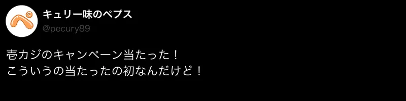 壱カジ口コミ・評判