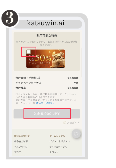 勝WINカジノ入金手順3